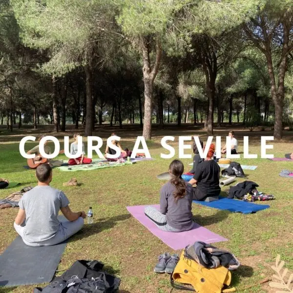 Cours Yoga au parc en plein air à Séville